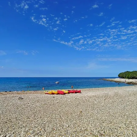 Luxury Glamping Porto Bus