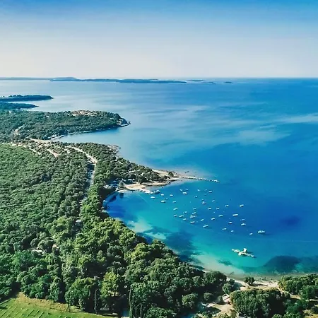 Luxury Glamping Porto Bus