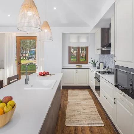 Luxury Glamping Porto Bus 5*