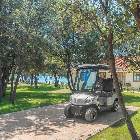 Tatil parkı Luxury Glamping Porto Bus