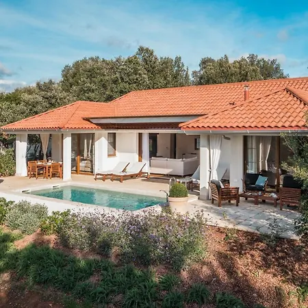 Tatil parkı Luxury Glamping Porto Bus