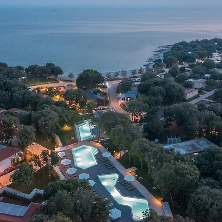 Luxury Glamping Porto Bus 5*