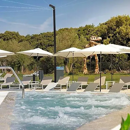 度假村 Luxury Glamping Porto Bus 5*